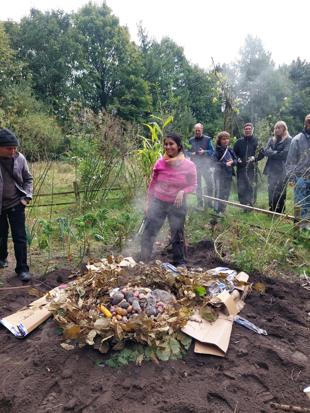 Art as an Ecological Practice